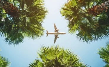 Avion au dessus des arbres