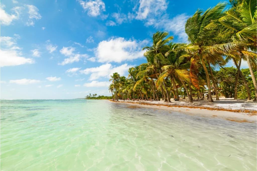 plage de Bois-Jolan à Sainte-Anne