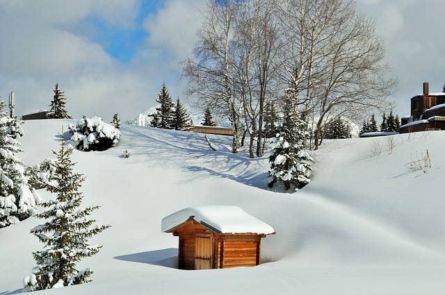 Paysage de montage sous la neige