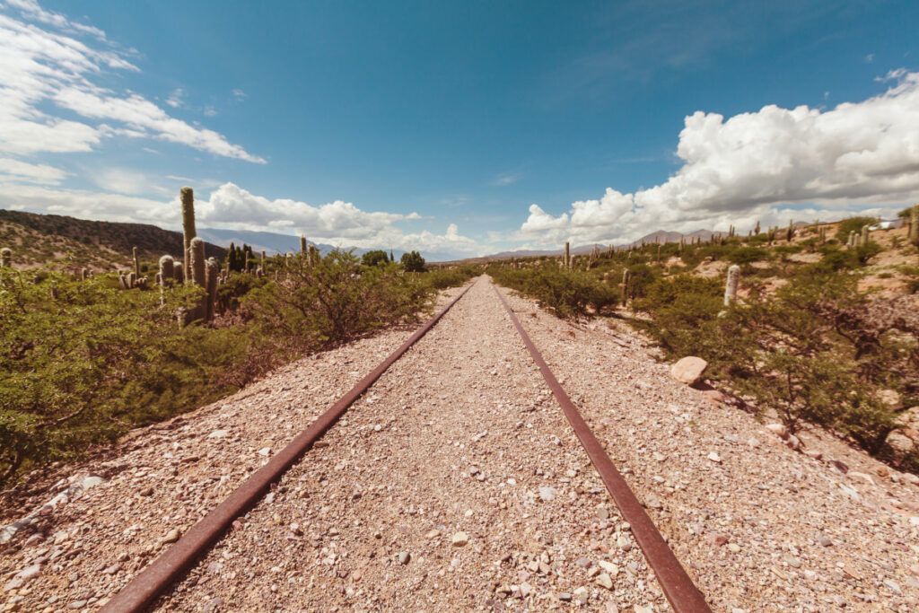 Tren Patagónico