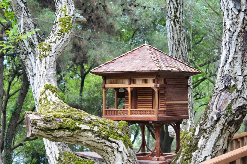 Cabane dans les arbres