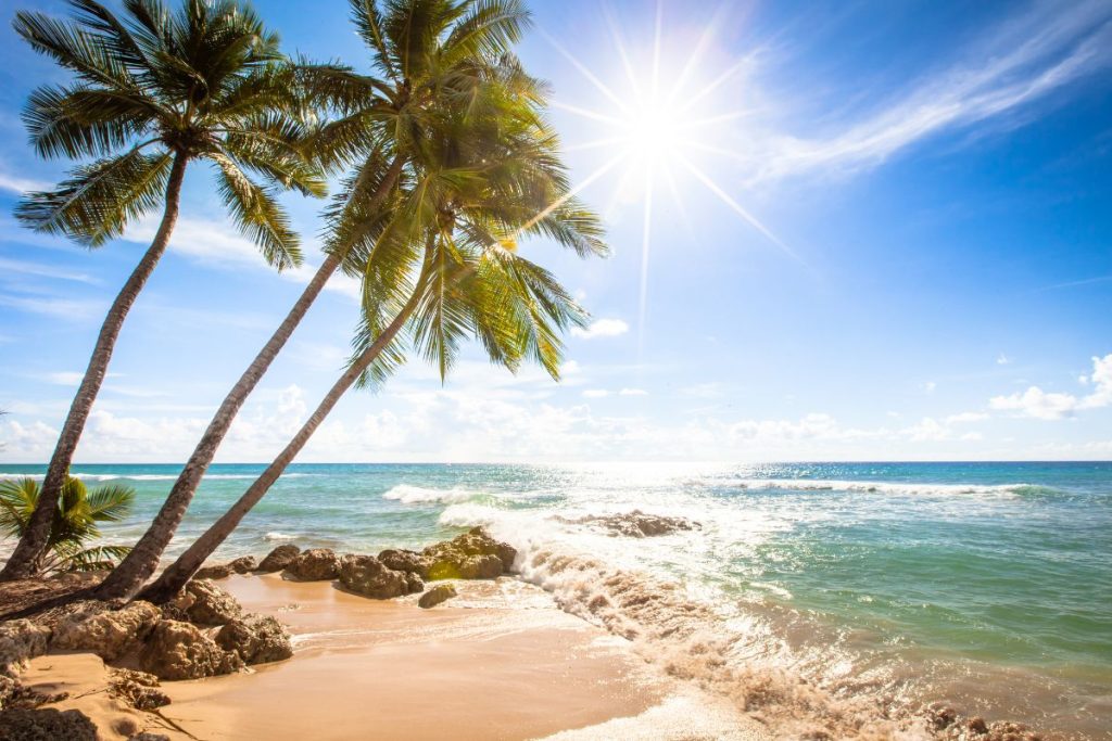 Ile paradisiaque