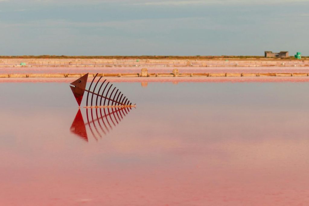 Lac rose Gruissan