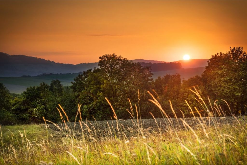 parc naturel de Silésie