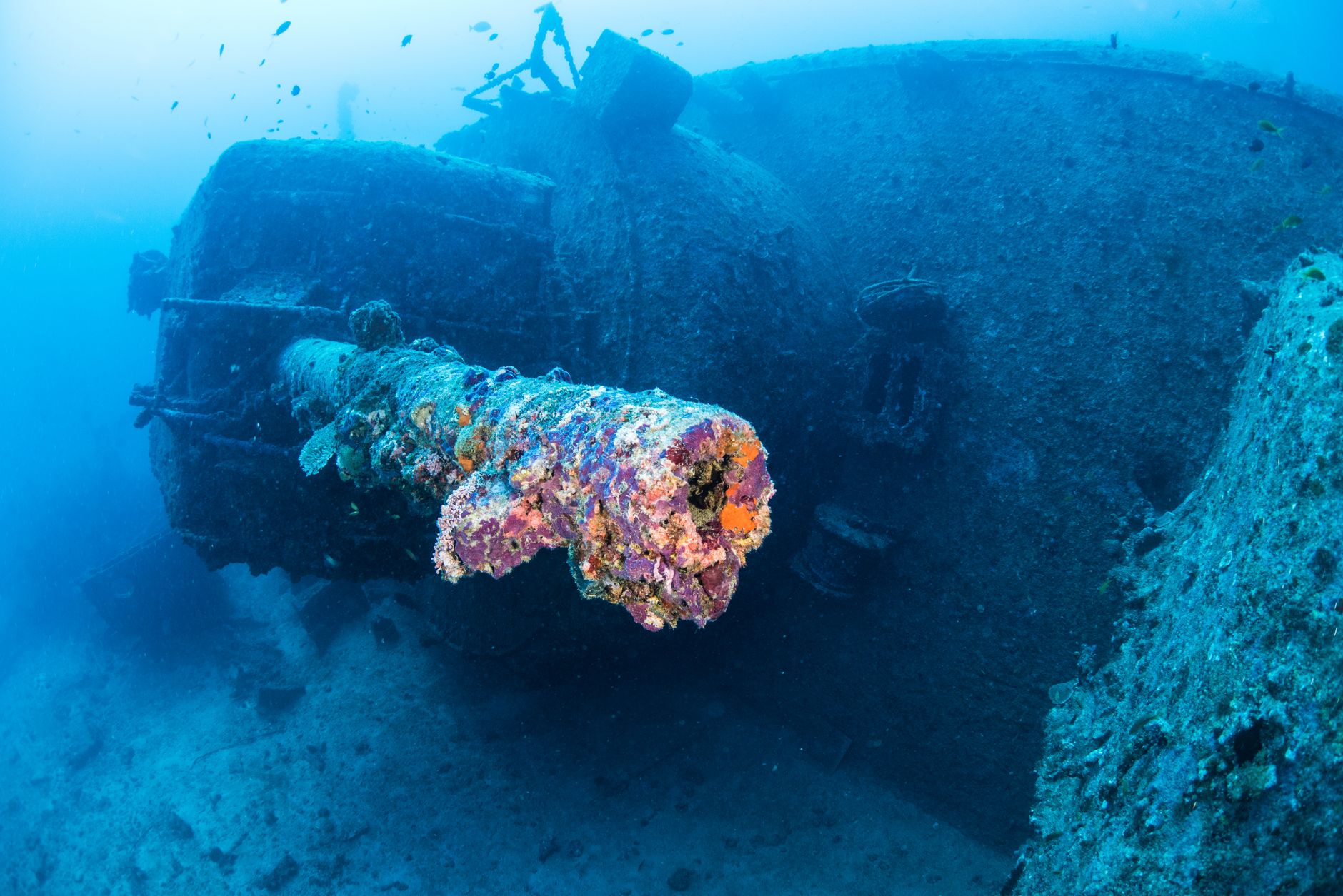 Minerve : le sous-marin retrouvé par 2370 m de fond en 2019